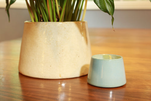 Signature Memorial Compact (3-Pack)