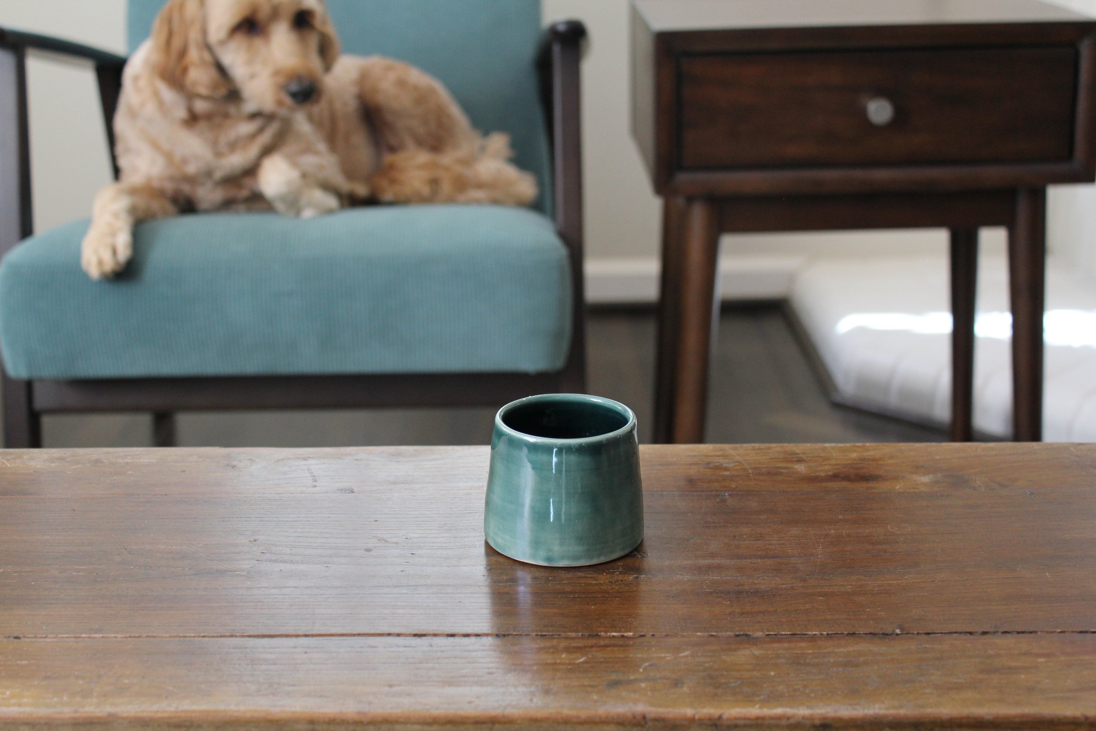 Signature Memorial Compact (3-Pack)